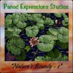 paned expressions pattern CD natures bounty stained glass 7345
