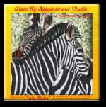 paned expressions pattern CD into africa stained glass 7350
