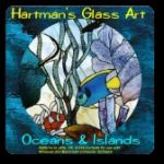 paned expressions pattern CD oceans and islands stained glass 7354