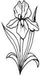 WHEEL ENGRAVED BEVEL STAINED GLASS FREE SHIPPING 7987