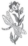 WHEEL ENGRAVED BEVEL STAINED GLASS FREE SHIPPING 7996