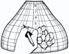 WORDEN STAINED GLASS LAMP PATTERN DESIGNING GRID FREE SHIPPING B70